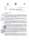 Vista preliminar de documento RESOLUCIÓN DIRECTORAL 411 2015gqDGY