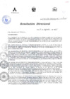 Vista preliminar de documento RESOLUCIÓN DIRECTORAL 403 2015ZExiY