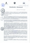 Vista preliminar de documento RESOLUCIÓN DIRECTORAL 446 2015yMWOZ