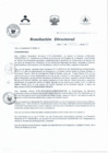 Vista preliminar de documento RESOLUCIÓN DIRECTORAL 341 20152nnVw