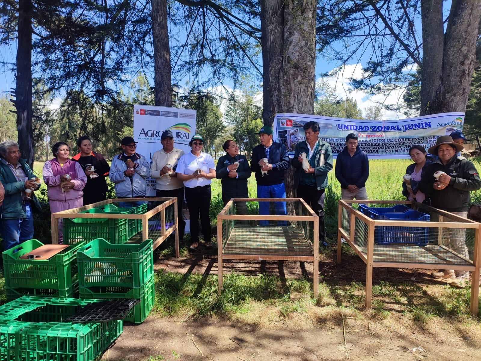 Módulos demostrativos de cuyes - Junín