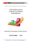 Vista preliminar de documento Indicadores de Gestión Hospitalaria del INEN - Noviembre 2013