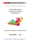 Vista preliminar de documento Indicadores de Gestión Hospitalaria del INEN - Diciembre 2013