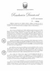 Vista preliminar de documento Resolución Directoral No. 131-2023-MINEM-DGH