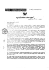 Vista preliminar de documento RESOLUCIÓN DIRECTORAL 003 2017PKnVG