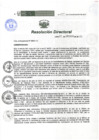 Vista preliminar de documento RESOLUCIÓN DIRECTORAL 229 2017KjcNK
