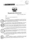 Vista preliminar de documento RESOLUCIÓN DIRECTORAL 307 2017xHy9q