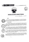 Vista preliminar de documento RESOLUCIÓN DIRECTORAL 321 2017bPsYh