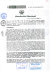 Vista preliminar de documento RESOLUCIÓN DIRECTORAL 329 2017lqs7p