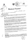 Vista preliminar de documento RESOLUCIÓN DIRECTORAL 197 2009w41BB