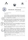 Vista preliminar de documento RESOLUCIÓN DIRECTORAL 488 201496VZ9