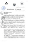 Vista preliminar de documento RESOLUCIÓN DIRECTORAL 564 2014n1aIt