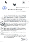 Vista preliminar de documento RESOLUCIÓN DIRECTORAL 609 201434Ixo