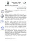 Vista preliminar de documento R.D.N°206-2023-HGJ-DE