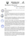 Vista preliminar de documento R.D.N°205-2023-HGJ-DE