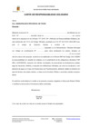 Vista preliminar de documento carta de responsabilidad solidaria