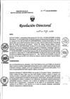 Vista preliminar de documento RD N° 208-2023-DG-INMP/MINSA