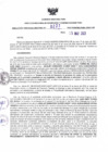 Vista preliminar de documento RDR N° 0231-2023-15-05-2023