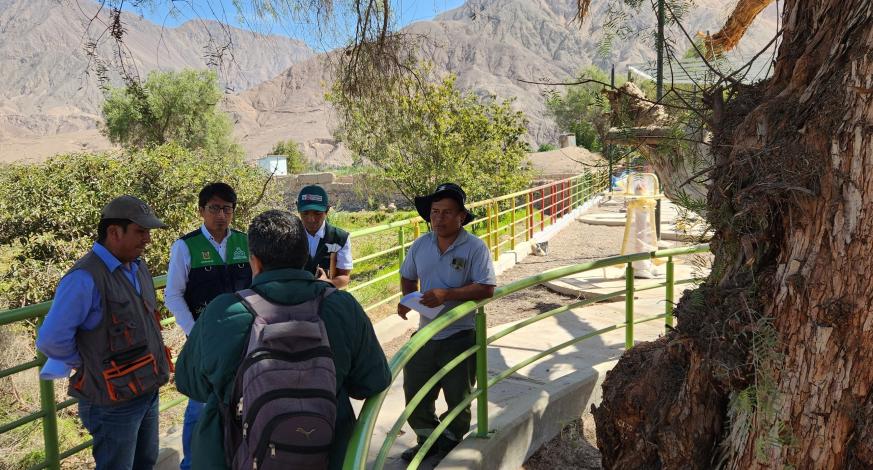 La Municipalidad Provincial de Mariscal Nieto a través de la Subgerencia de Gestión del Medio Ambiente con el apoyo del Servicio Nacional Forestal y de Fauna Silvestre - SERFOR y del Servicio Nacional de Sanidad Agraria - SENASA, realizó el acompañamiento y asistencia técnica para el mantenimiento del “Molle Centenario de Estuquiña”, que fue reconocido y declarado de interés provincial mediante las Ordenanzas Municipales Nº 012-2015-MPMN y Nº 029-2021-MPMN, para su protección y conservación.