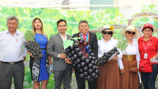 La Municipalidad Provincial de Mariscal Nieto brindó espacios comerciales en la Plaza de Armas a las bodegas vitivinícolas, restaurantes, pastelerías y demás negocios moqueguanos para la venta de sus productos durante el festival de la Vendimia.