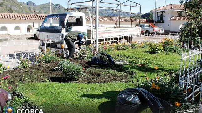 Personal de la Municipalidad Distrital de Ccorca realizó Limpieza de áreas verdes