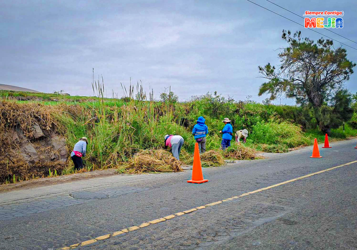 Los trabajos de mantenimiento rutinario de la avenida principal consisten en la poda y limpieza de malezas, perfilado de la plataforma, remoción de derrumbes.