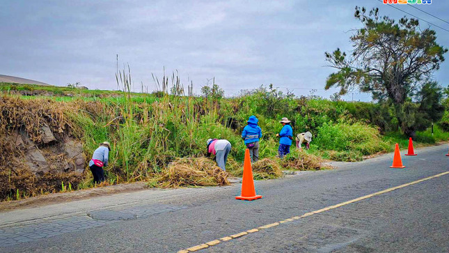 Los trabajos de mantenimiento rutinario de la avenida principal consisten en la poda y limpieza de malezas, perfilado de la plataforma, remoción de derrumbes. 