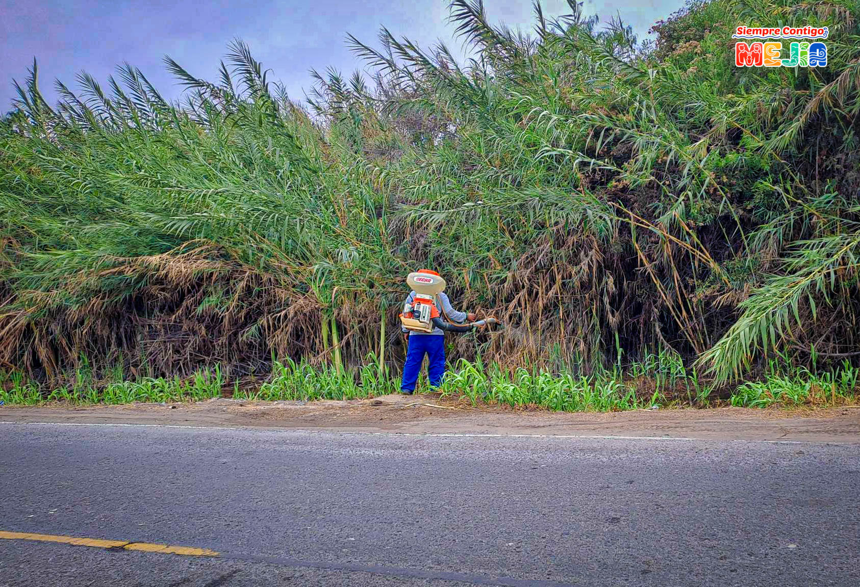 Los trabajos de mantenimiento rutinario de la avenida principal consisten en la poda y limpieza de malezas, perfilado de la plataforma, remoción de derrumbes.