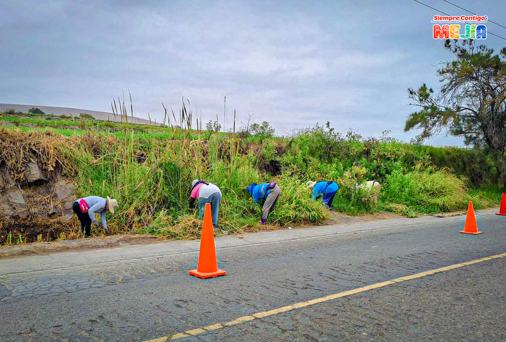 Los trabajos de mantenimiento rutinario de la avenida principal consisten en la poda y limpieza de malezas, perfilado de la plataforma, remoción de derrumbes.
