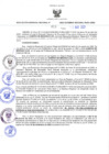 Vista preliminar de documento RES-411-2023-GRDS