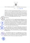 Vista preliminar de documento RES-412-2023-GRDS