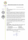 Vista preliminar de documento resol 395