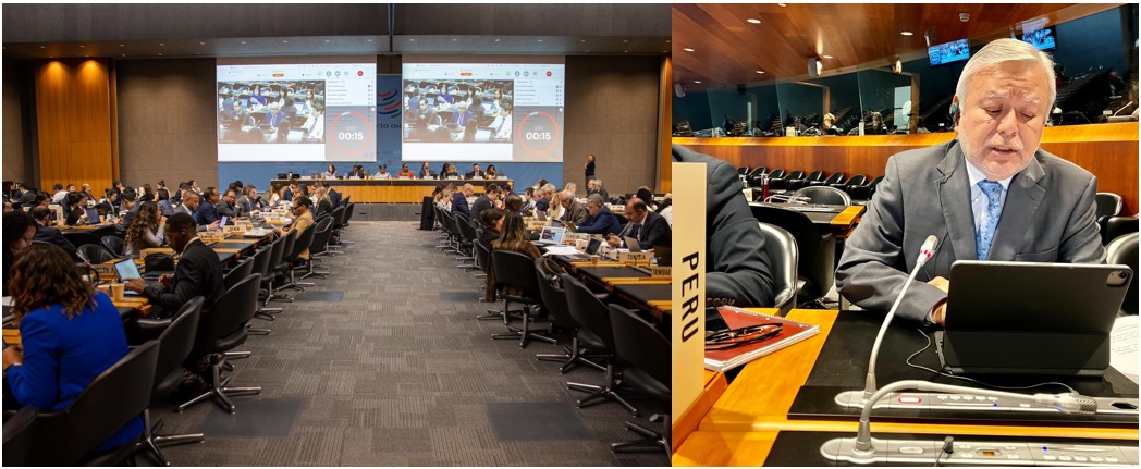 Exitosa participación del Perú en el Consejo General de la Organización Mundial del Comercio