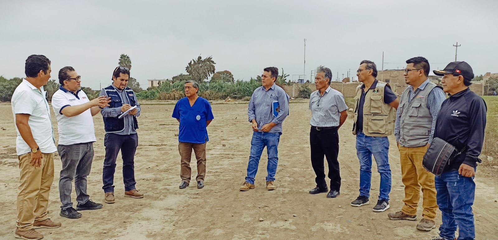 Reunión PRONIS