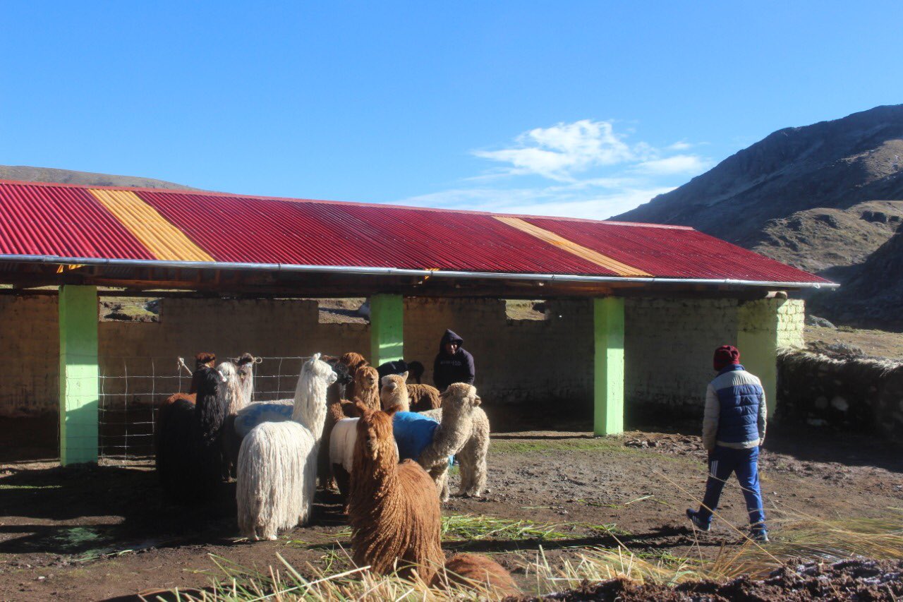 Implementación de cobertizos en Ancash