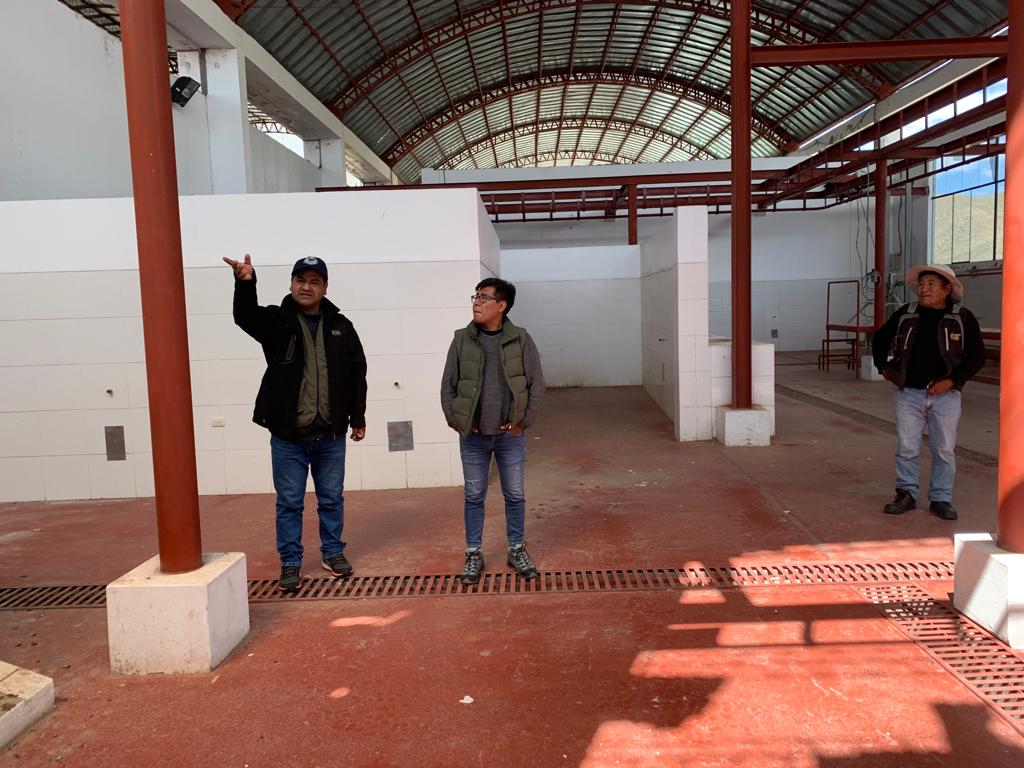 Verificación