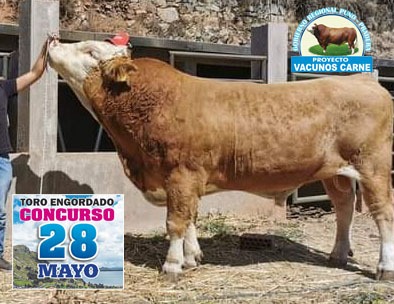 PRADERA