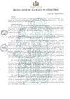 Vista preliminar de documento PEI - PLAN ESTRATEGICO INSTITUCIONAL 2022-2026 RESOLUCION-258-2022