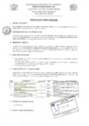 Vista preliminar de documento TDR 