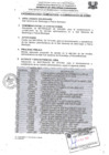 Vista preliminar de documento TDR