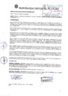 Vista preliminar de documento RA 208