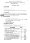 Vista preliminar de documento TDR 