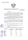 Vista preliminar de documento Resolución Jefatural 222 - 2021