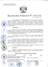 Vista preliminar de documento Resolución Jefatural N.° 232-2021 - INEI