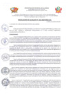 Vista preliminar de documento R.A. N° 162-2023