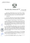 Vista preliminar de documento Resolución Jefatural N.° 246-2021-INEI