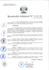 Vista preliminar de documento Resolución Jefatural N.° 247-2021-INEI