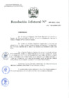 Vista preliminar de documento Resolución Jefatural N.° 265-2021-INEI