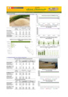 Vista preliminar de documento Boletín de abastecimiento y precio del ARROZ - 18/05/23