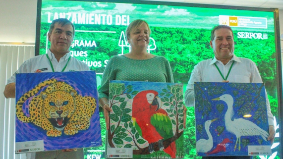 BOSQUES